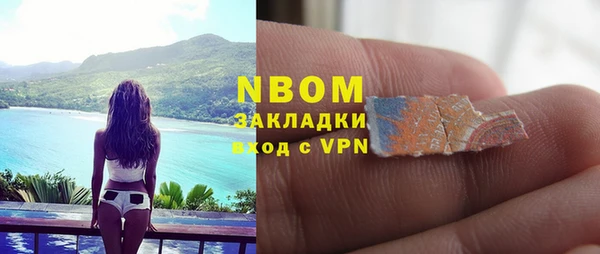 стаф Алзамай