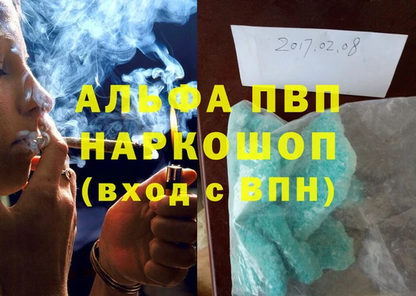 стаф Алзамай