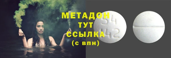 стаф Алзамай