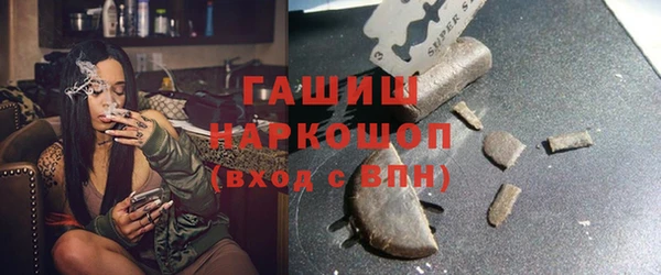 стаф Алзамай