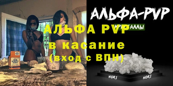 стаф Алзамай