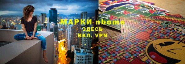 стаф Алзамай