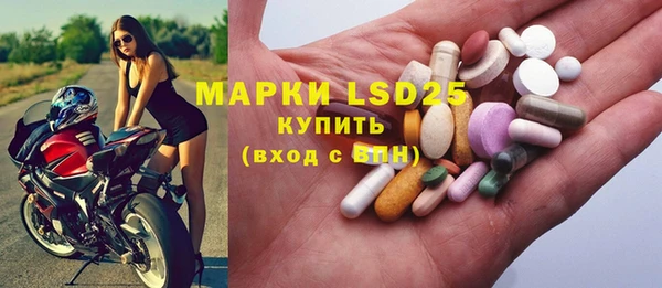 стаф Алзамай