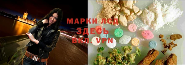 стаф Алзамай