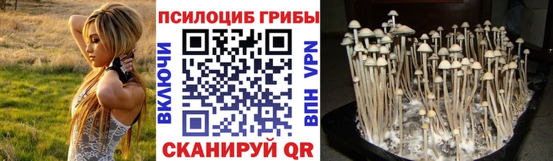Галлюциногенные грибы MAGIC MUSHROOMS Кола