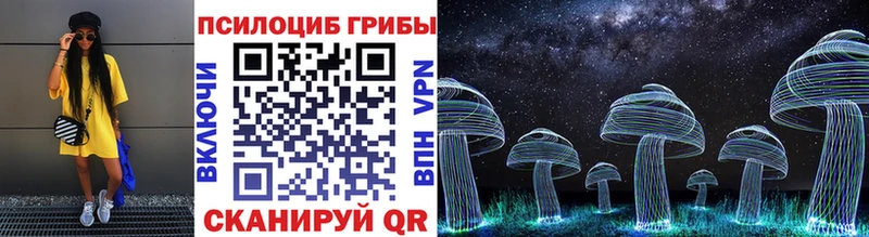Псилоцибиновые грибы Psilocybe  OMG зеркало  Кола 